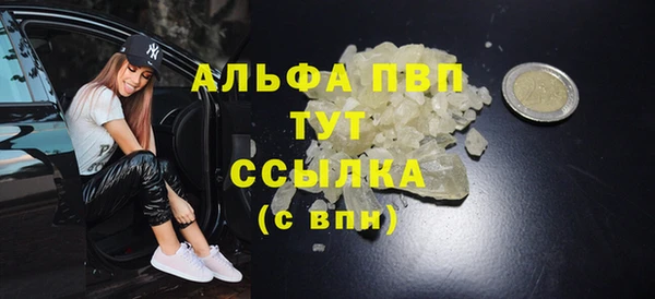 индика Белоозёрский