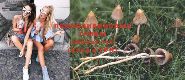 прущая мука Белокуриха