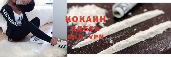 прущие грибы Пересвет