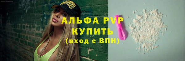 индика Белоозёрский