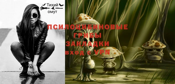 индика Белоозёрский