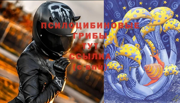 индика Белоозёрский